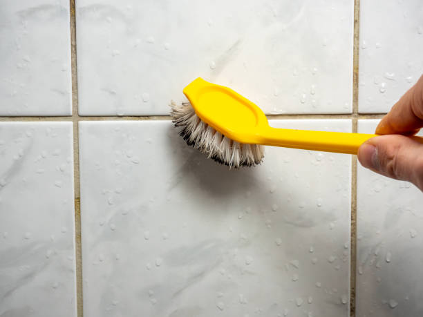 Best Office Mold Removal Services  in Milroy, PA