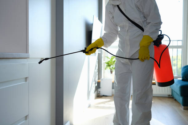 Best Toxic Mold Removal  in Milroy, PA